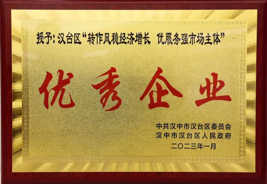 創(chuàng)新研究院榮獲漢臺區(qū)“轉作風穩(wěn)經(jīng)濟增長 優(yōu)服務強市場主體”優(yōu)秀企業(yè)