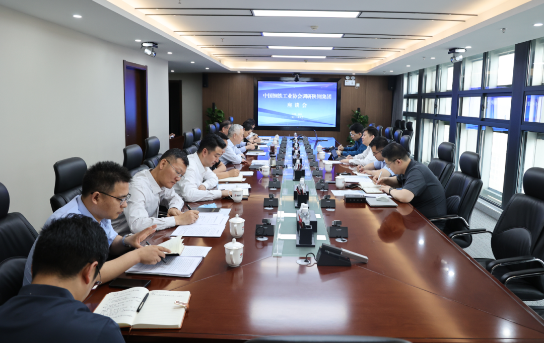 中國鋼鐵工業(yè)協(xié)會(huì)黨委副書記、副會(huì)長兼秘書長姜維來陜鋼集團(tuán)座談交流