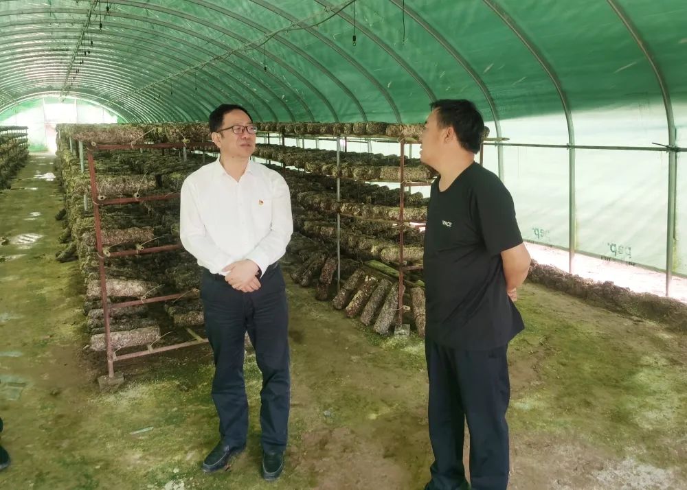 陜鋼集團(tuán)開(kāi)展抓黨建促鄉(xiāng)村振興工作調(diào)研