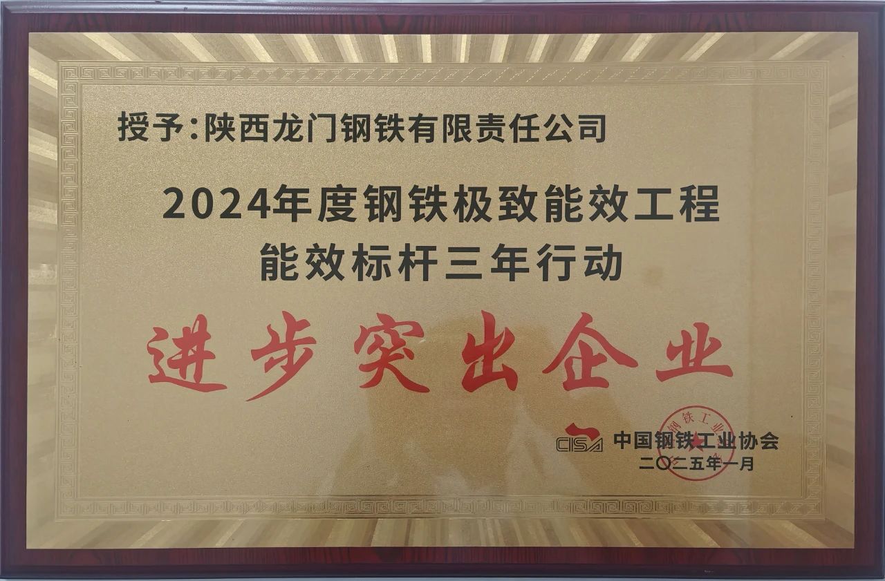 喜訊！龍鋼公司榮獲2024年度鋼鐵極致能效工程能效 標(biāo)桿三年行動“進(jìn)步突出企業(yè)”